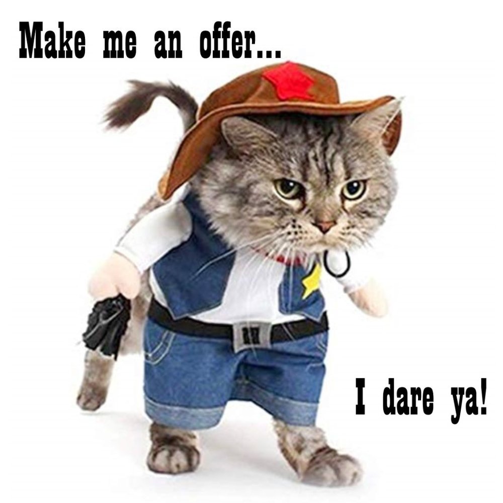 I love a good offer!
